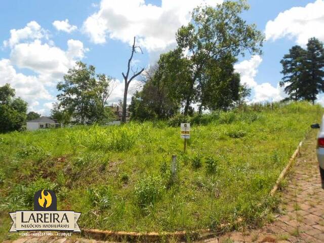 Terreno para Venda em Lajeado - 4