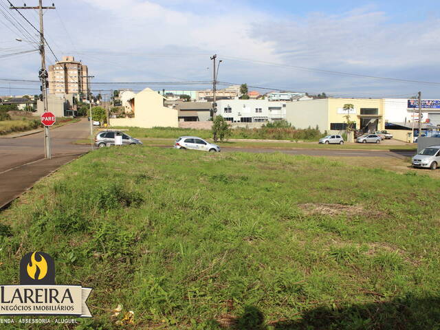 Terreno para Locação em Lajeado - 2