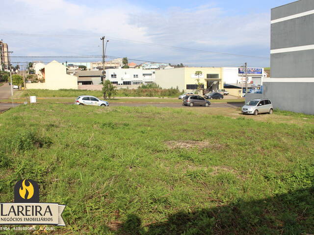 Terreno para Locação em Lajeado - 3