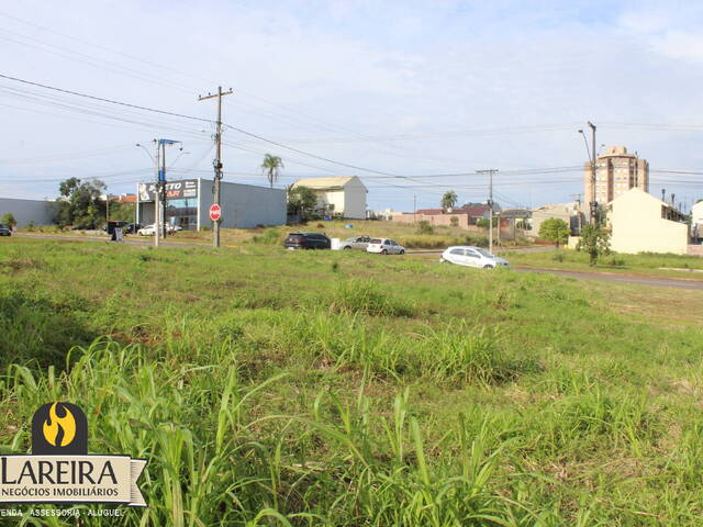 Terreno para Locação em Lajeado - 4