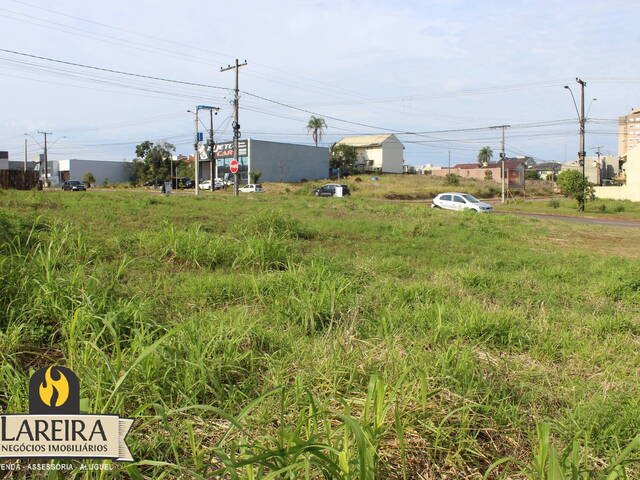 Terreno para Locação em Lajeado - 5