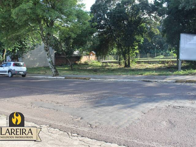 Terreno para Locação em Lajeado - 5