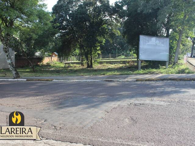 Terreno para Locação em Lajeado - 4