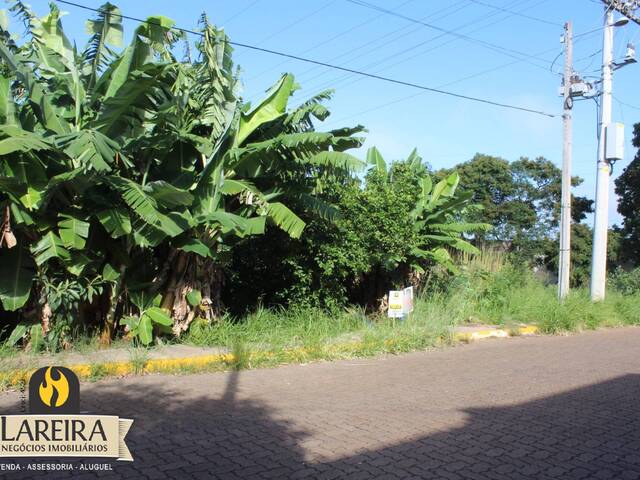 Terreno para Locação em Lajeado - 4