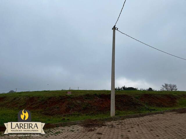 Terreno para Venda em Cruzeiro do Sul - 3