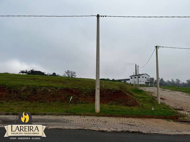 Terreno para Venda em Cruzeiro do Sul - 2