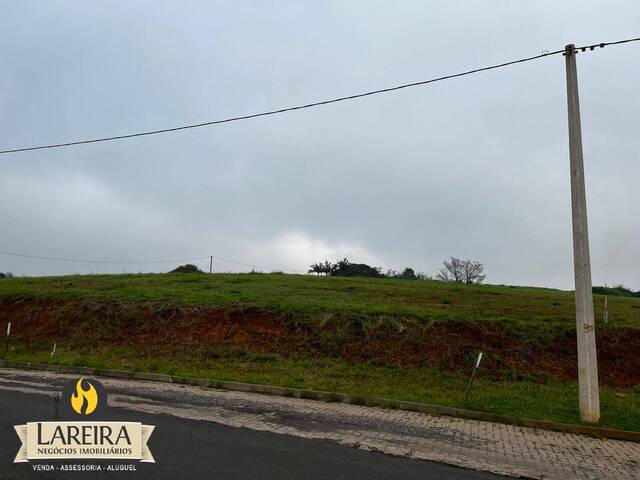 Terreno para Venda em Cruzeiro do Sul - 5