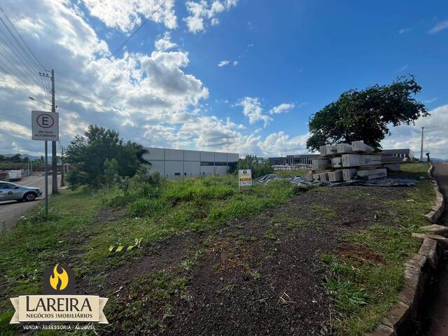 Terreno para Locação em Lajeado - 5