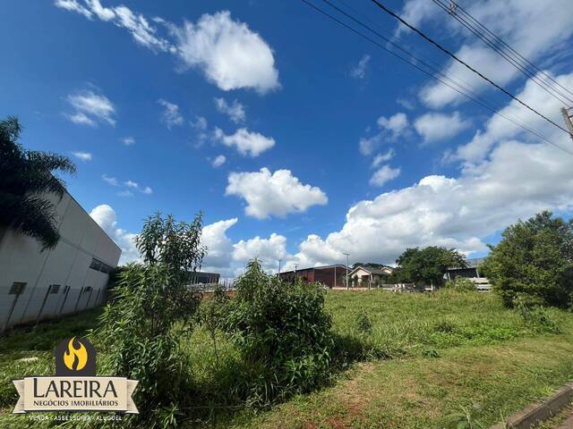 Terreno para Locação em Lajeado - 2